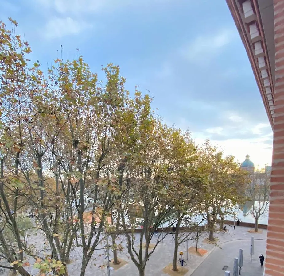 Appartement Au Plein Coeur De Toulouse,Saint-Pierre 0*, Toulouse